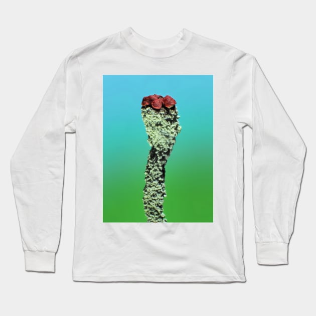 Cladonia lichen under the microscope Long Sleeve T-Shirt by SDym Photography